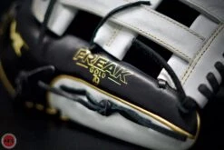 Miken Pro Series 15" Slowpitch Softball Glove - Freak Gold: PRO150-BWG -EASTON Shop FreakGoldSlowpitchGlove ea554326 e97f 4f52 a6aa 0711a398a487