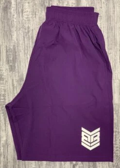 Banger Brand Exclusive 4 Way Stretch Shorts W/ Reflective Logo -EASTON Shop IMG 1739